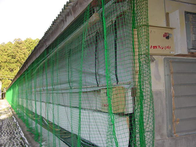 ���C���t���G���U�Ǐ�